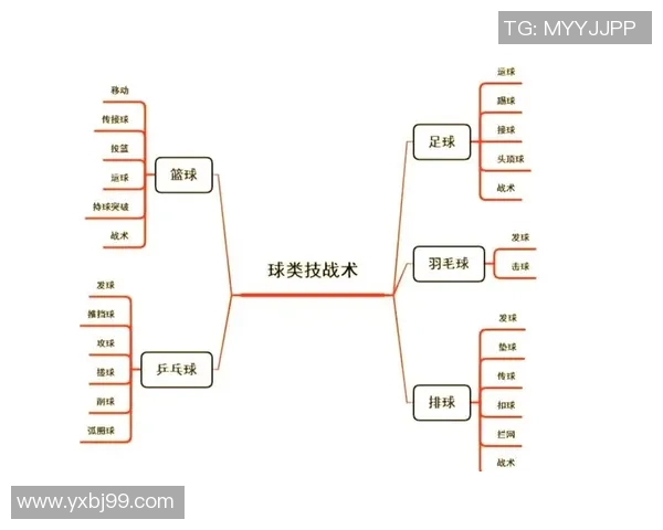 上海排球队配合策略分析与战术提升探讨
