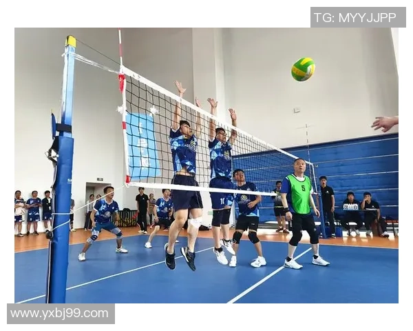 成都排球队精英赛表现评析团队协作的重要性与未来发展方向