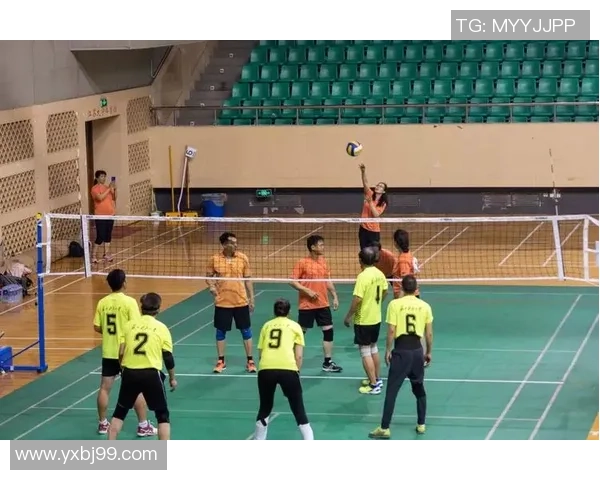 深圳排球队速度表现分析与提升策略探讨